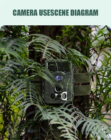 game camera with night vision